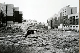 Wystawa Projekt Nowy Dwór we Wrocławiu daje dobry przykład innym osiedlom