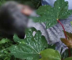Mężczyzna w chwili zbrodni miał 22 lata, był sąsiadem swojej ofiary