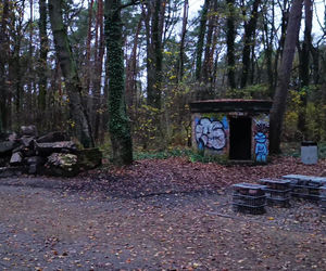 Teren wokół Wieży Quistorpa został uporządkowany