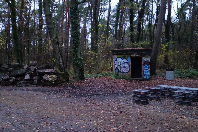 Teren wokół Wieży Quistorpa został uporządkowany