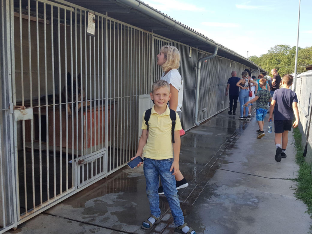 Autosan MZK w Lesznie kursował na Drzwi Otwarte Schroniska dla Bezdomnych Zwierząt w Henrykowie 