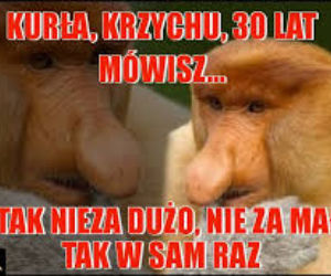 MEMY na urodziny! Zobacz najśmieszniejsze obrazki w internecie [GALERIA]