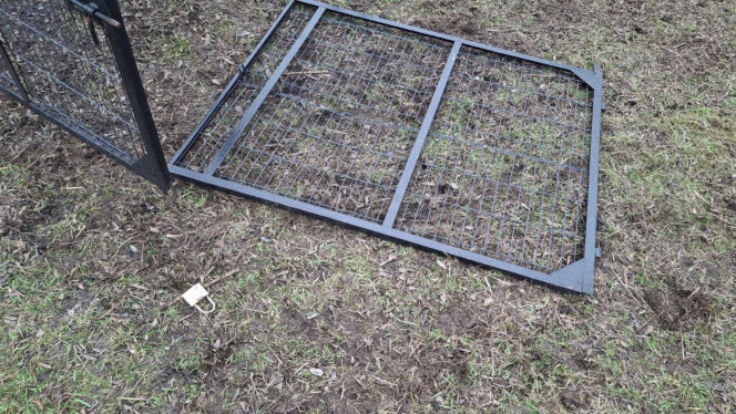 Koszmar w agroturystyce. Owce i daniele zagryzione, część zwierząt wrzucona do stawu!