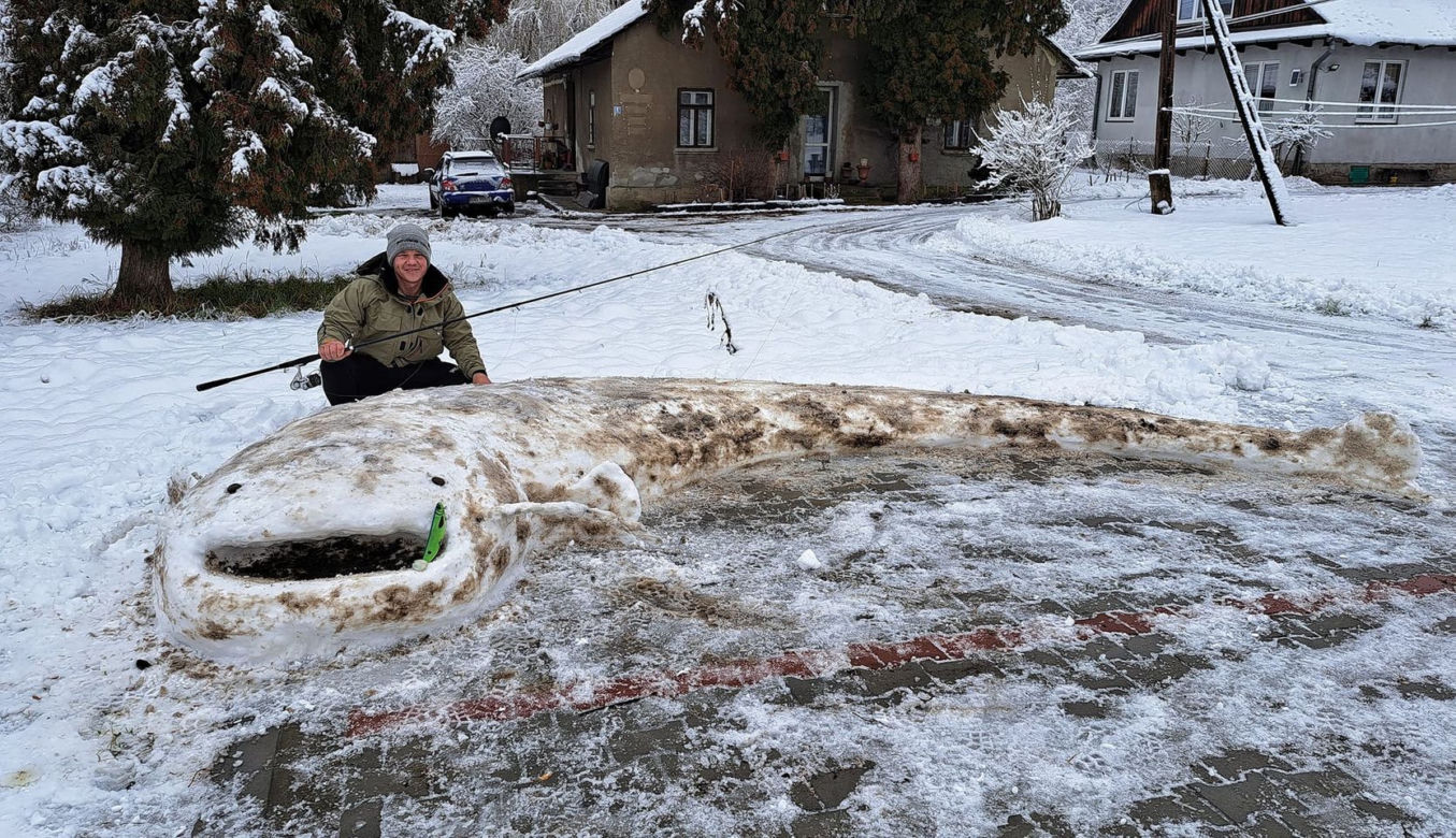 Ulepił ze śniego gigantyczne ryby