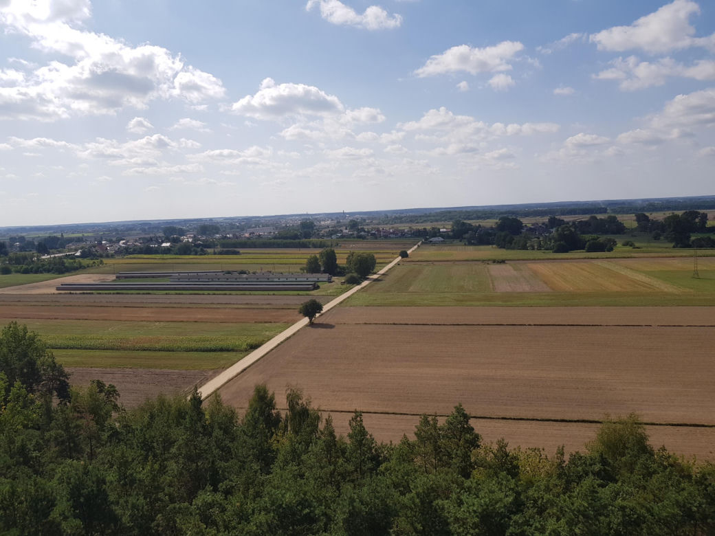 Wieża widokowa w Uhowie. To najwyższa wieża na Podlasiu [ZDJĘCIA]