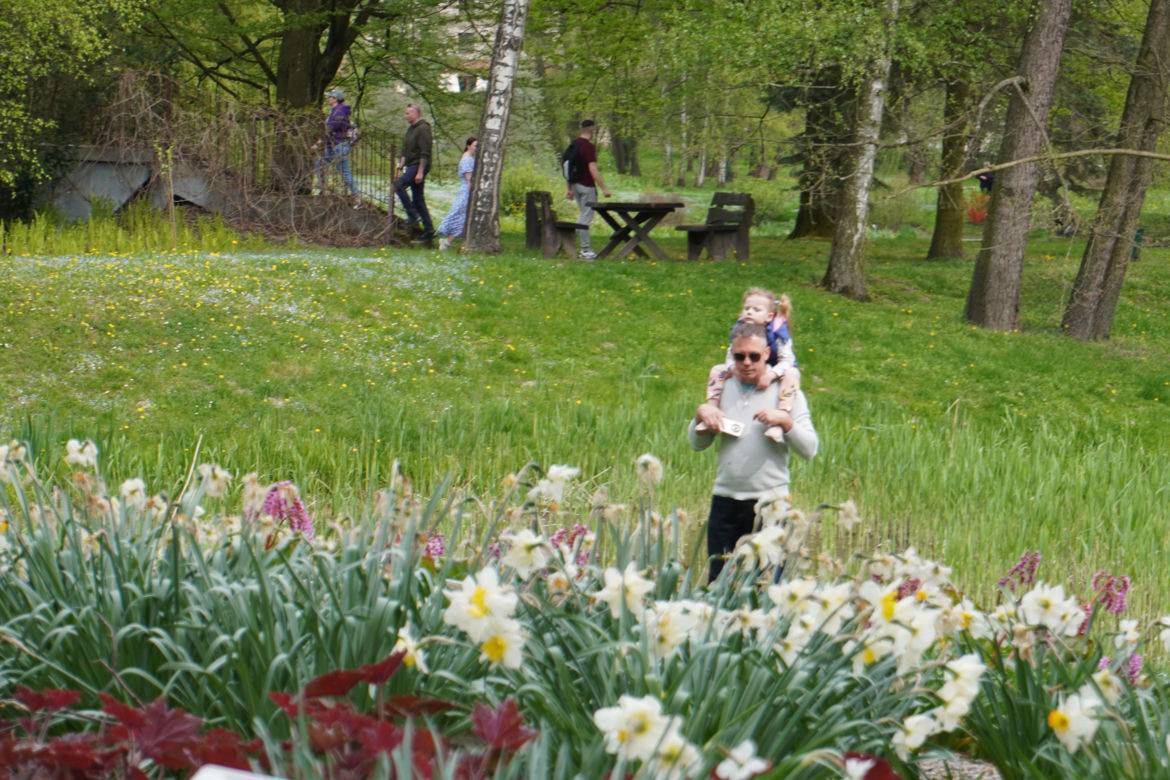 Ogród Botaniczny w Lublinie
