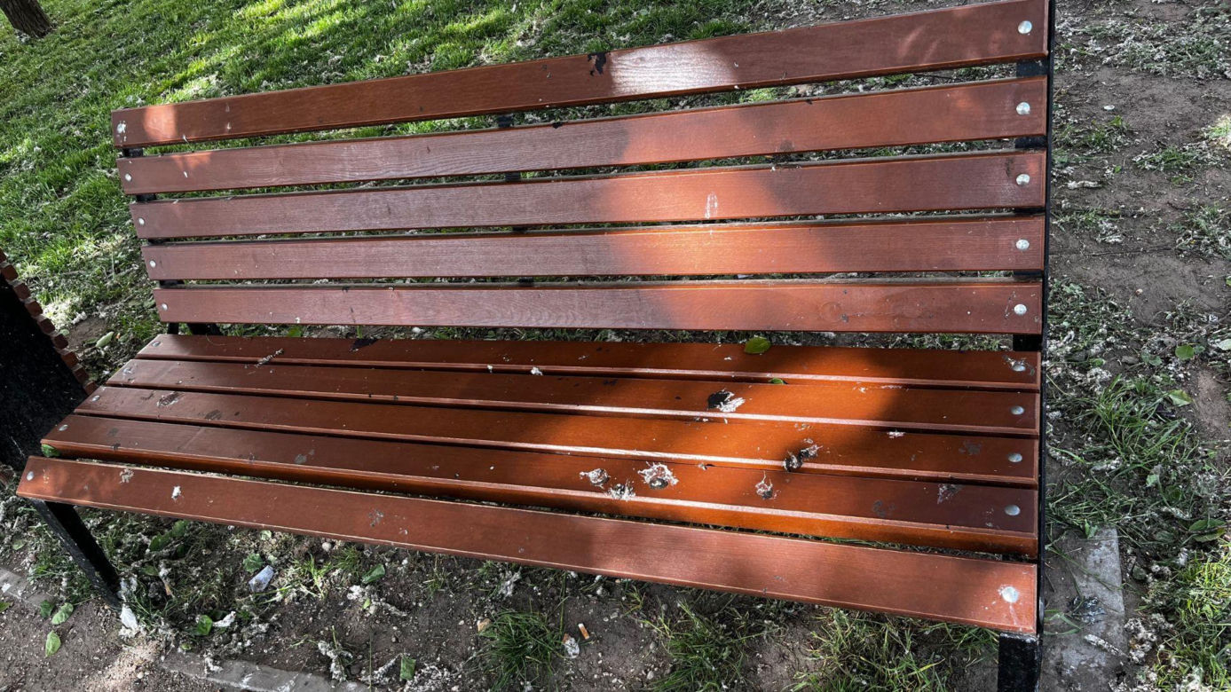 Park Lawendowy na osiedlu TBS w Białymstoku