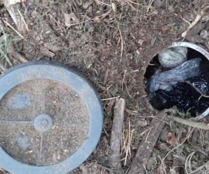 Bydgoscy policjanci zajrzeli do dziury w lesie i zamarli! Tego nikt się nie spodziewał