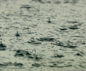 Nie tyko kwiecień plecień. Tak przepowiadały przyszłość nasze babki! Te kwietniowe przysłowia mogą zaskoczyć