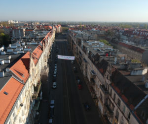 Czerwone wdowy na dachach wrocławskich kamienic