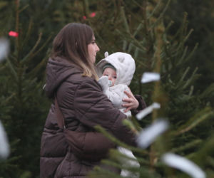 Florian Martyniuk. Syn Daniela wybrał choinkę i czeka na tatę