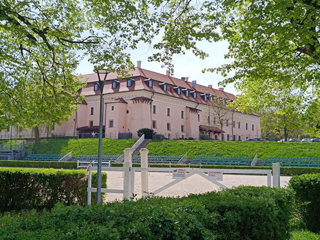 Małopolskie miasto, które przyciąga nowych mieszkańców. Zaludnia się najszybciej w regionie 