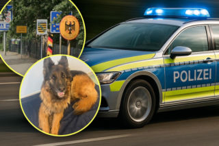 Polak zatrzymany na niemieckiej autostradzie. Jazda po alkoholu to był jego najmniejszy problem. W tle skradzione auto i pies