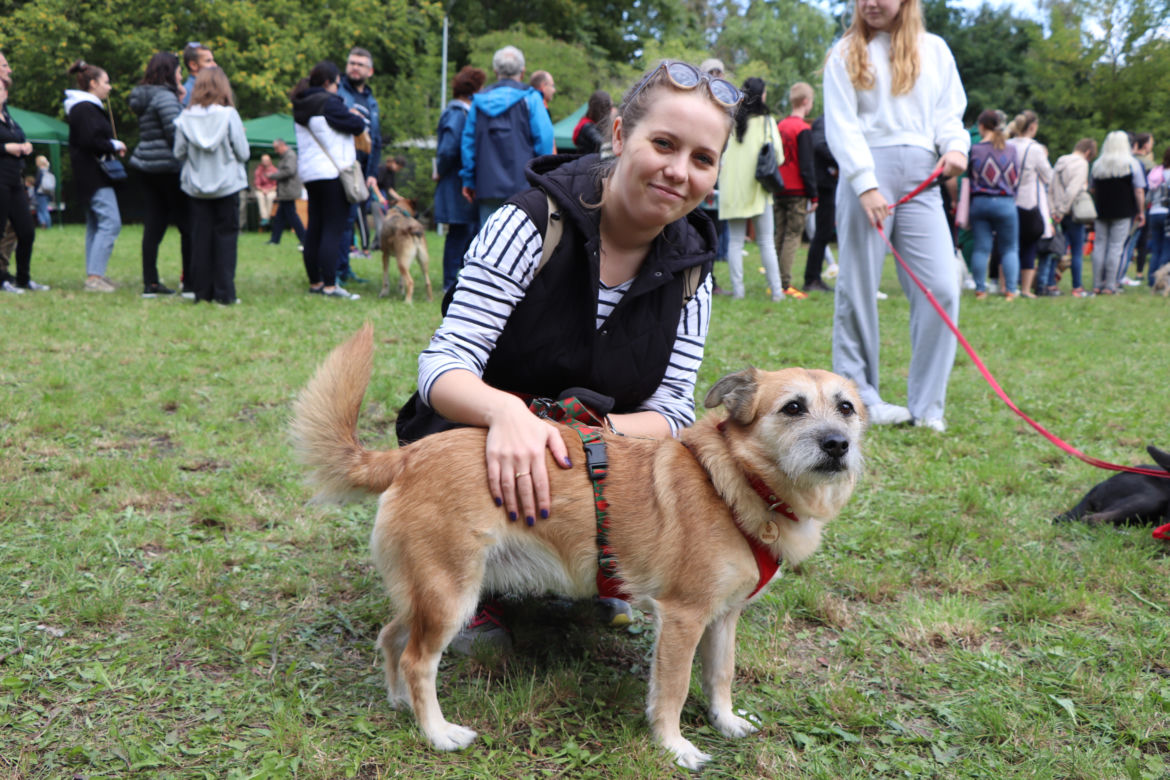 IX Piknik Przyjaciół Schroniska w Toruniu