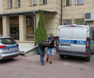 Policja ujawniła 3 miejsca uprawy konopii