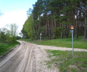 Najpiękniejsza trasa rowerowa w woj. śląskim