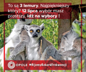 Komiczna kampania Opola! Wybory Prezydenckie 2020 to nasza szansa na rekord frekwencji