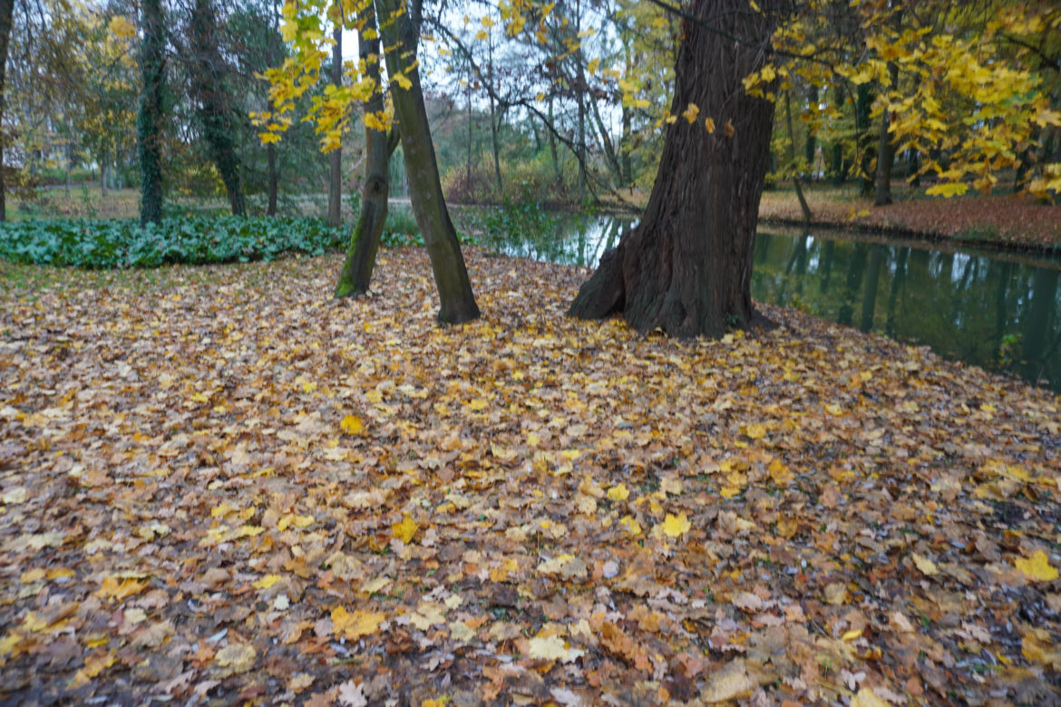 Park Sołacki w Poznaniu jesienią
