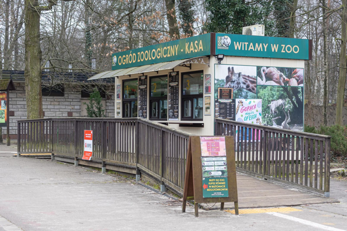 Zatrzymanie Ewy Z. - dyrektorki zoo w Poznaniu