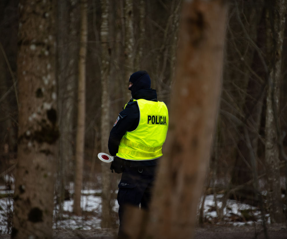 Policja: na terenie Puszczy Białowieskiej znaleziono zwłoki mężczyzny