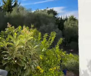 hiszpański raj Agaty Młynarskiej