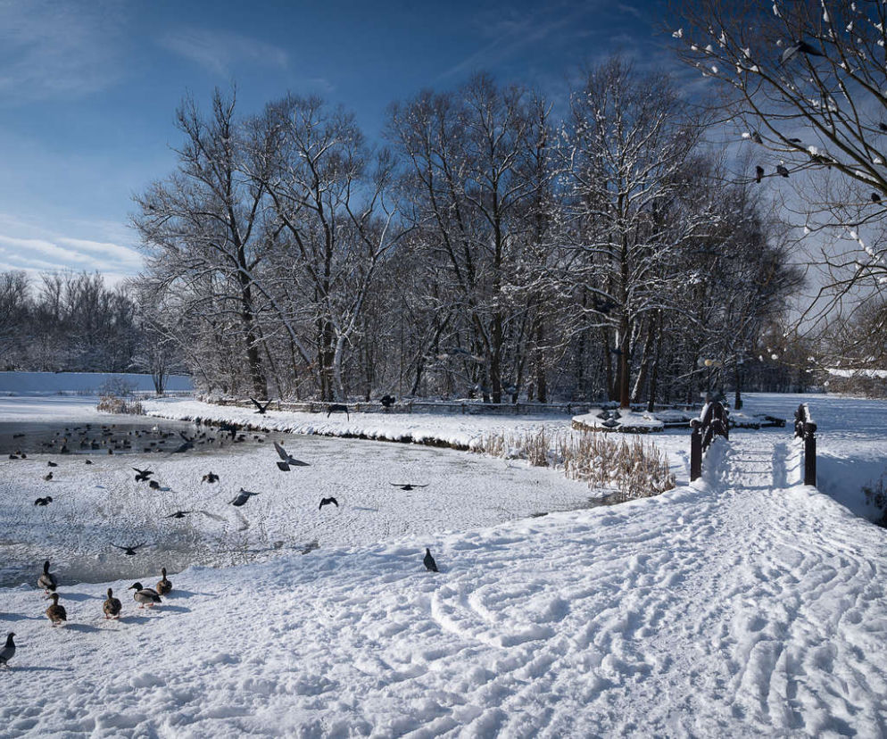 Park w Skawinie zachwyca zimą