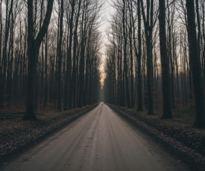 Rodzina w lesie pod Nowogardem. Co ujawniło policyjne śledztwo?