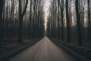 Rodzina w lesie pod Nowogardem. Co ujawniło policyjne śledztwo?