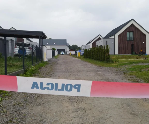 Kupili dom i zaczęli remont. W ogródku odkryli około 30 ludzkich płodów