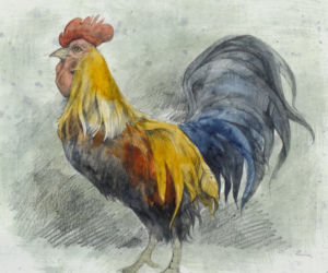 Aleksandra Michalska Szwagierczak - ilustracje