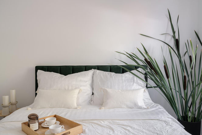 Mieszkanie w jasnych kolorach od KODO