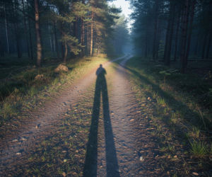 Atak niedźwiedzia w Bieszczadach. Ministerstwo wdraża plan ratunkowy, który może zmienić wiele?