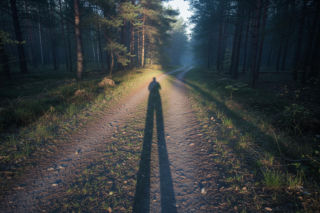 Atak niedźwiedzia w Bieszczadach. Ministerstwo wdraża plan ratunkowy, który może zmienić wiele?