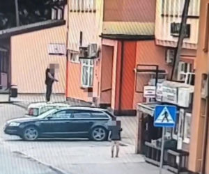 Jak dzikusy skakali po zaparkowanych autach! Wszystko nagrały kamery. Wstyd!