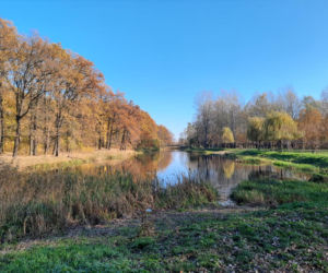 Park Miejski w Toruniu