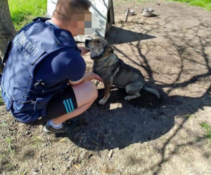 Kierowca ministra Romanowskiego zmarł na koronawirusa