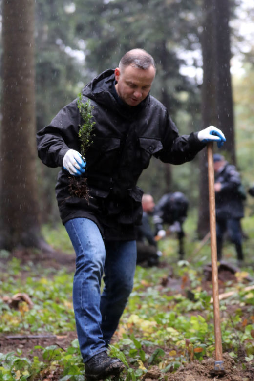 Andrzej Duda w deszczu sadził drzewa