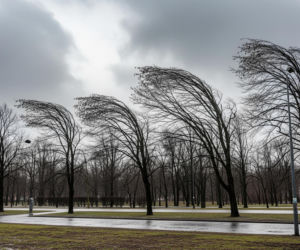 Łódź 08.12.2025. Zima pokaże pazury czy raczej deszczowe oblicze?
