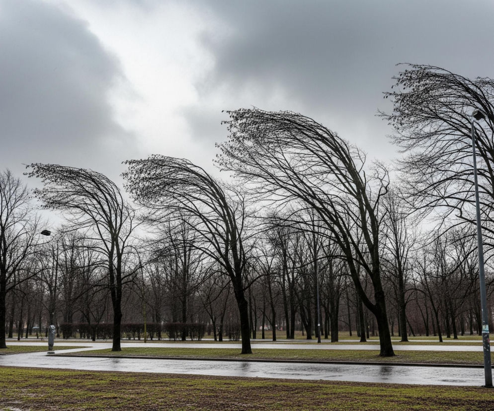 Widok rozległego parku z drzewami bez liści, ukazany w ponury, pochmurny dzień. Niebo jest pokryte gęstymi, szarymi chmurami, z jaśniejszymi smugami w centrum, sugerującymi ruch powietrza. W górnej części kadru widoczne są korony czterech głównych drzew, których gałęzie są mocno wygięte w prawo, jakby pod wpływem silnego wiatru.

Na pierwszym planie rozciąga się pas mokrej, zielono-brązowej trawy, a za nim wąska, mokra droga lub ścieżka z odblaskami światła na powierzchni. Dalej w głąb obrazu, po lewej stronie drogi, biegnie druga, równoległa ścieżka. Park jest gęsto zadrzewiony, z rzędami wysokich, nagich drzew, których ciemne pnie i gałęzie dominują w scenerii. Pomiędzy drzewami, widać krzewy formujące niskie żywopłoty, oraz w oddali niewyraźne, jasne budynki. Po prawej stronie drogi na pierwszym planie stoi szara latarnia uliczna, jej słup jest lekko pochylony.