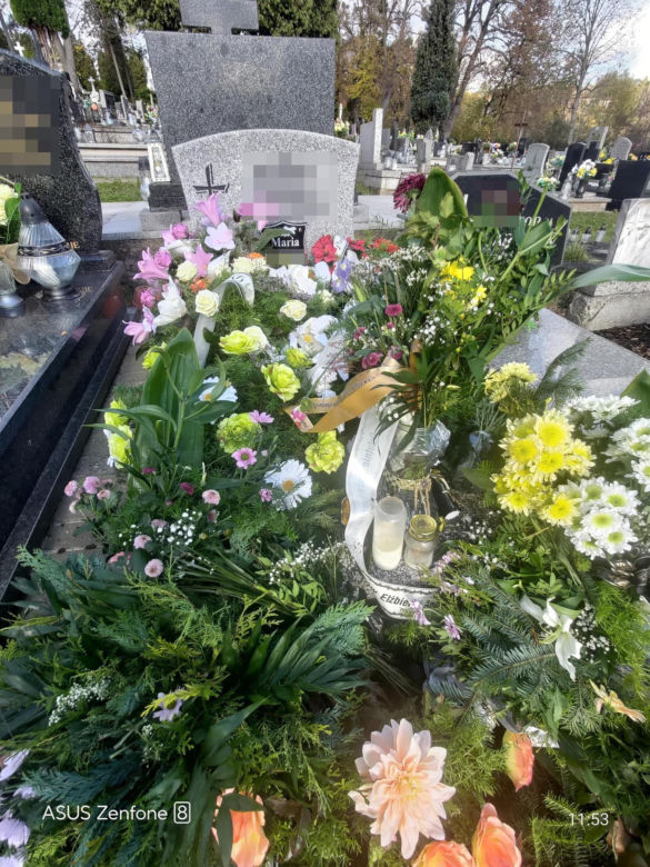 Zabili seniorkę dla 180 zł