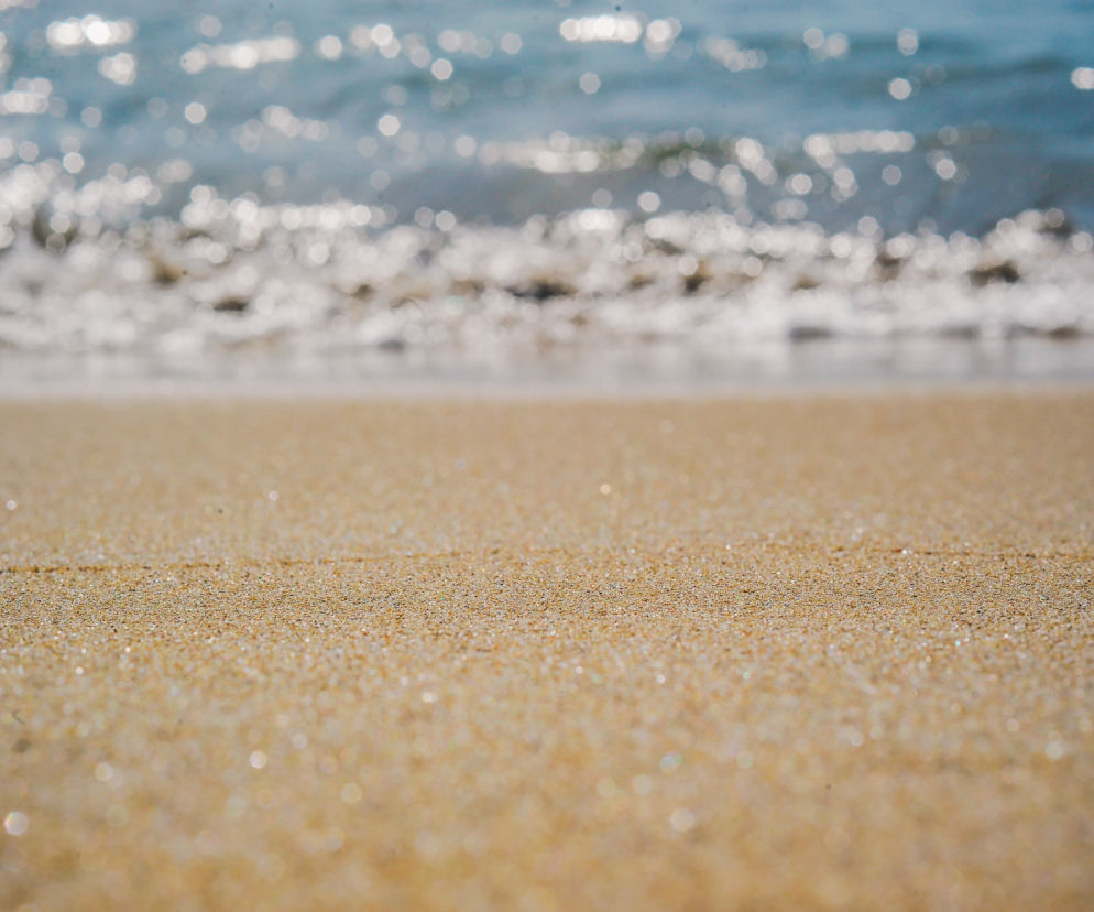 Toruń będzie miał miejską plażę nad Wisłą!