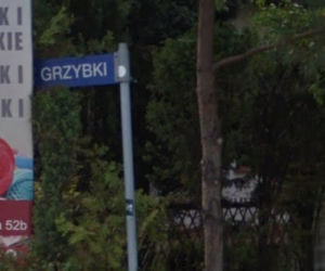 Grzybki