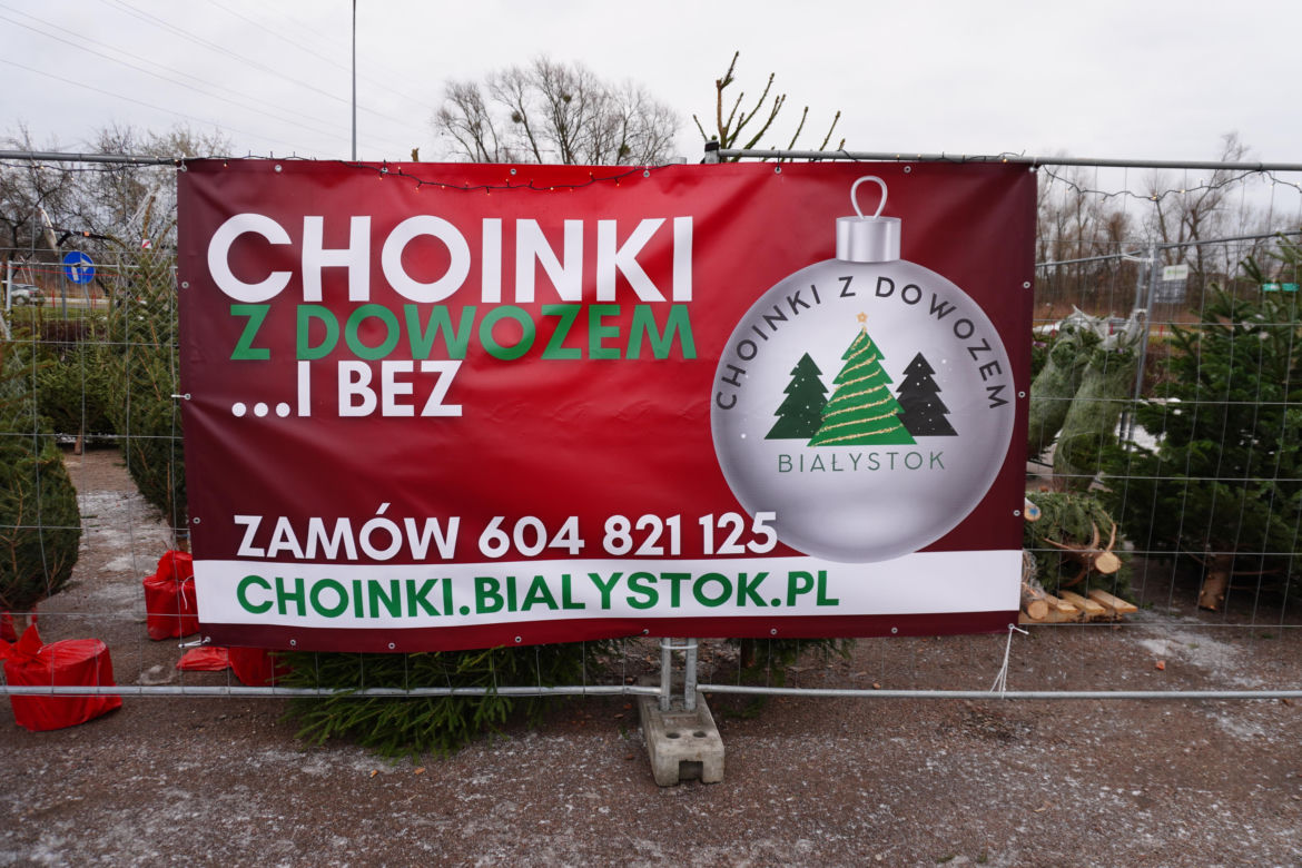 Ceny choinek w Białymstoku. Ile zapłacimy za drzewko w Podlaskiem?