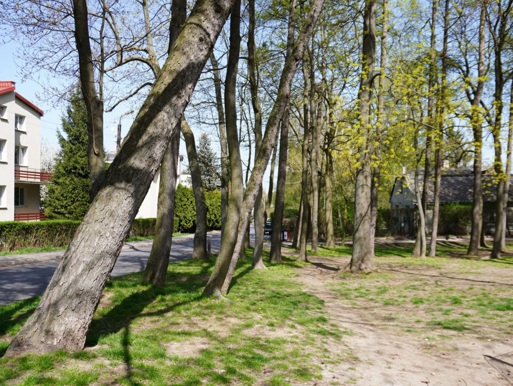 Wiosenny spacer po dzielnicy Sławinek w Lublinie