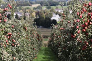 Ta sama praca, zupełnie inne pieniądze