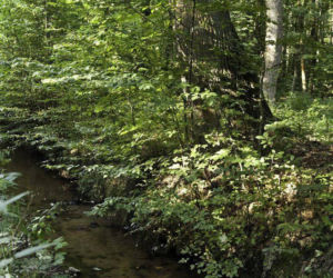 To najmniejszy park krajobrazowy w województwie śląskim. Do niedawna był najmniejszy w Polsce