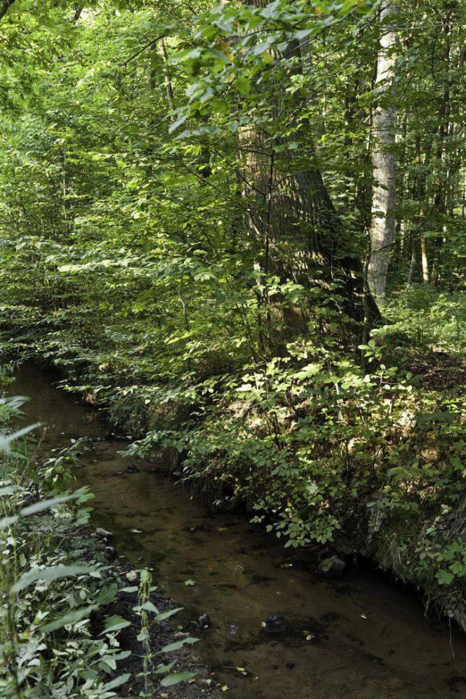 To najmniejszy park krajobrazowy w województwie śląskim. Do niedawna był najmniejszy w Polsce