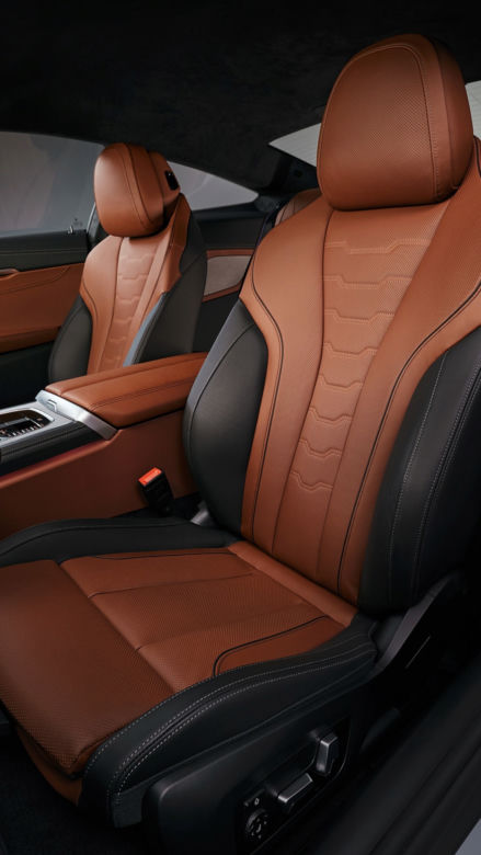 2019 BMW serii 8