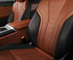 2019 BMW serii 8