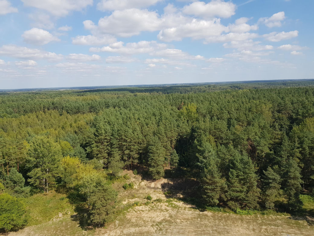Wieża widokowa w Uhowie. To najwyższa wieża na Podlasiu [ZDJĘCIA]